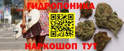 синтетический гашиш Кингисепп