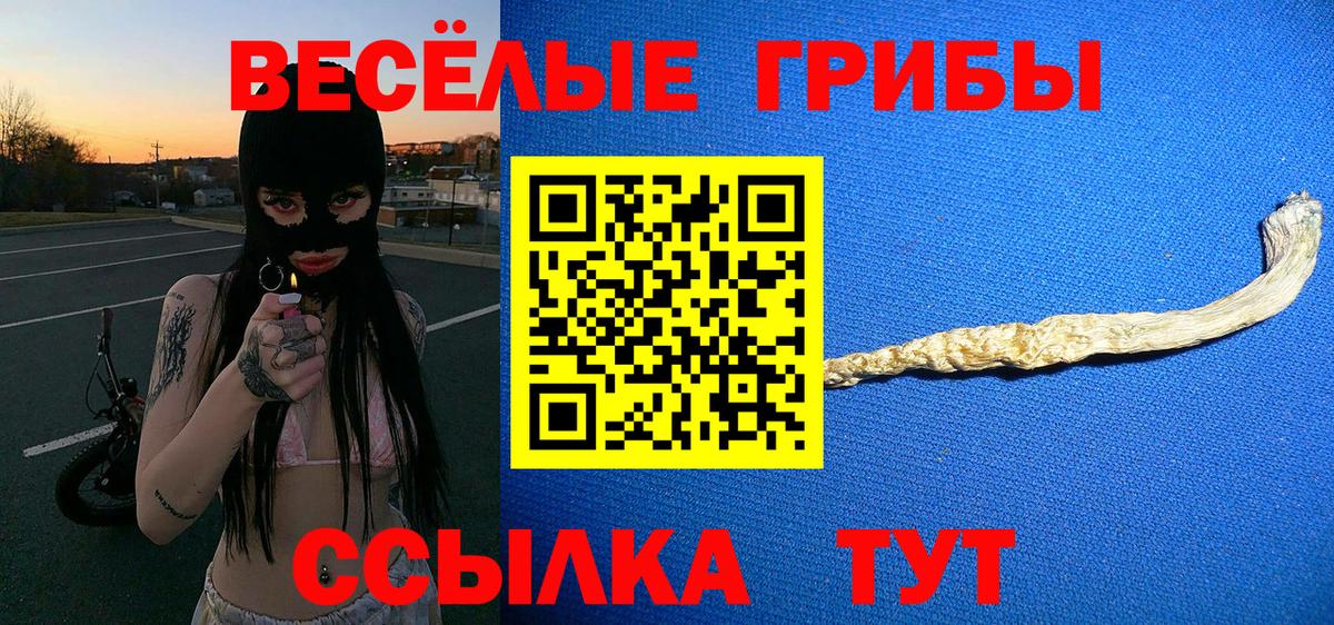 Курчалой  магазин    Вход с VPN  Галлюциногенные грибы GOLDEN TEACHER 